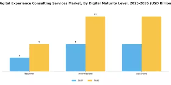 Digital Experience Consulting Services Market Segment Image 1