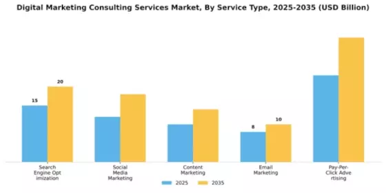 Digital Marketing Consulting Services Market Segment Image 3