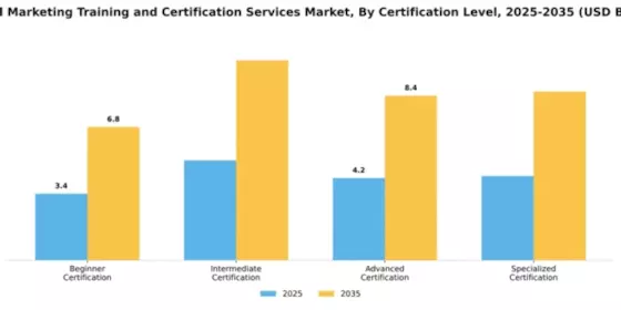 Digital Marketing Training and Certification Services Market Segment Image 0