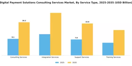 Digital Payment Solutions Consulting Services Market Segment Image 2