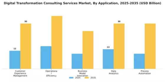 Digital Transformation Consulting Services Market Segment Image 0