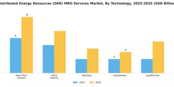 Distributed Energy Resources (DER) MRO Services Market Segment Image 4