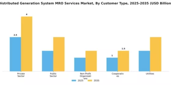 Distributed Generation System MRO Services Market Segment Image 1