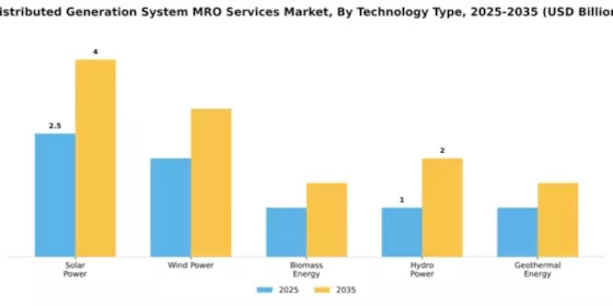 Distributed Generation System MRO Services Market Segment Image 4