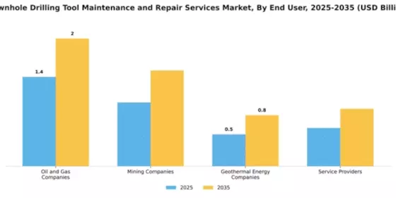 Downhole Drilling Tool Maintenance and Repair Services Market Segment Image 1