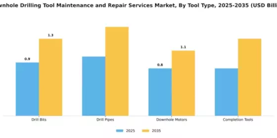 Downhole Drilling Tool Maintenance and Repair Services Market Segment Image 3