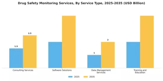 Drug Safety Monitoring Services Market Segment Image 2