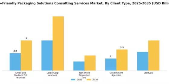 Eco-Friendly Packaging Solutions Consulting Services Market Segment Image 1