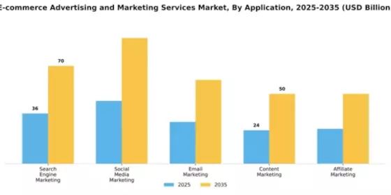 E-commerce Advertising and Marketing Services Market Segment Image 0