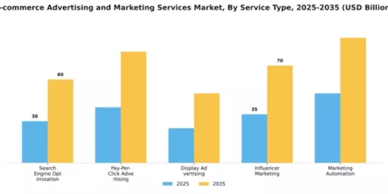E-commerce Advertising and Marketing Services Market Segment Image 2
