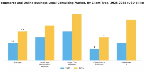 E-commerce and Online Business Legal Consulting Market Segment Image 0