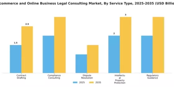 E-commerce and Online Business Legal Consulting Market Segment Image 3