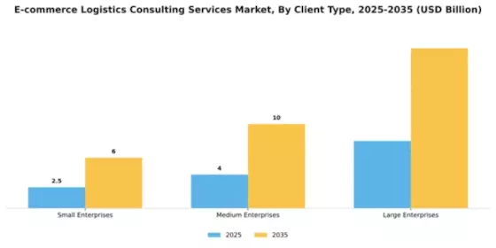 E-commerce Logistics Consulting Services Market Segment Image 0