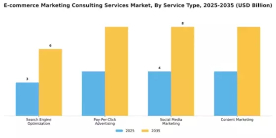 E-commerce Marketing Consulting Services Market Segment Image 3