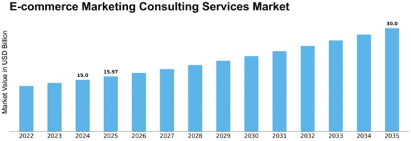 E-commerce Marketing Consulting Services Market Size