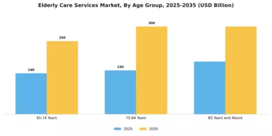 Elderly Care Services Market Segment Image 0