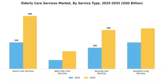 Elderly Care Services Market Segment Image 4