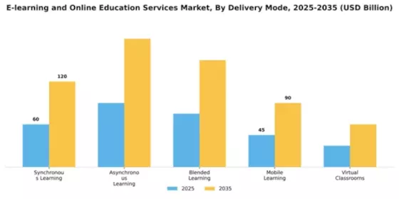 E-learning and Online Education Services Market Segment Image 2