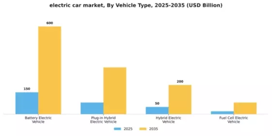 Electric Car Market Segment Image 4