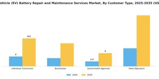 Electric Vehicle (EV) Battery Repair and Maintenance Services Market Segment Image 2