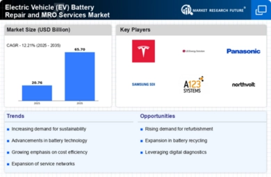 Electric Vehicle (EV) Battery Repair and MRO Services Market Infographic