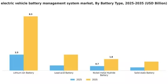 Electric Vehicle Battery Management System Market Segment Image 1