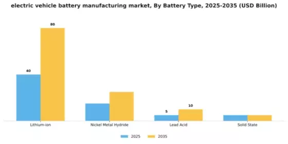 Electric Vehicle Battery Manufacturing Market Segment Image 1