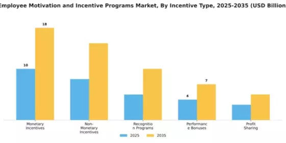 Employee Motivation and Incentive Programs Market Segment Image 1