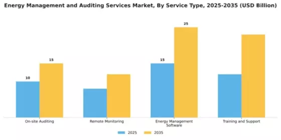 Energy Management and Auditing Services Market Segment Image 2