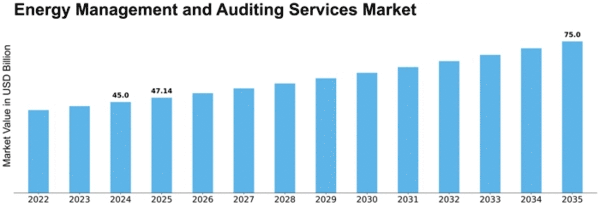 Energy Management and Auditing Services Market Size