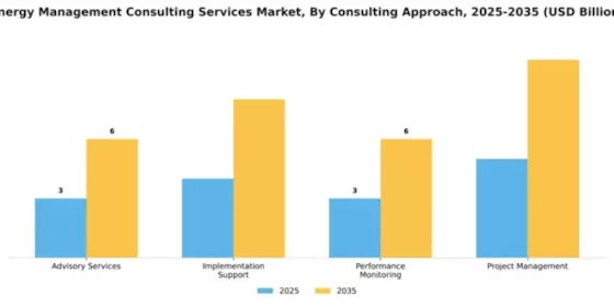 Energy Management Consulting Services Market Segment Image 1