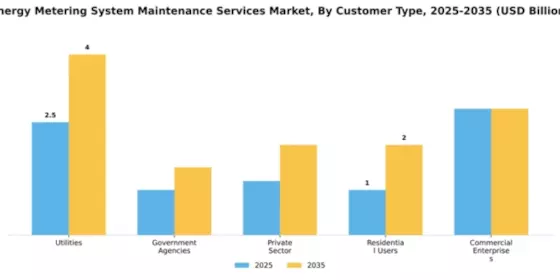 Energy Metering System Maintenance Services Market Segment Image 1