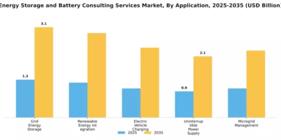 Energy Storage and Battery Consulting Services Market Segment Image 0