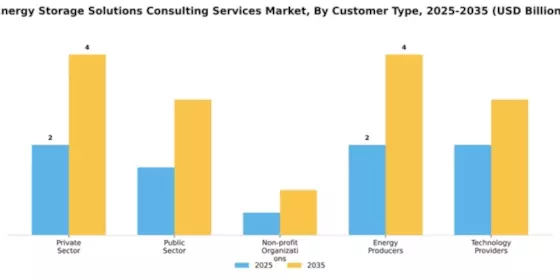 Energy Storage Solutions Consulting Services Market Segment Image 1