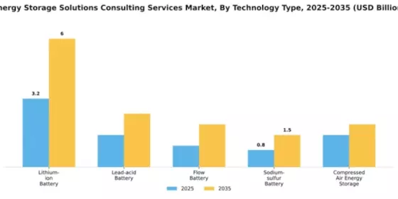 Energy Storage Solutions Consulting Services Market Segment Image 4