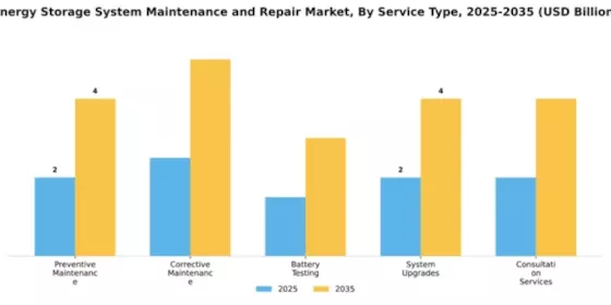 Energy Storage System Maintenance and Repair Market Segment Image 3