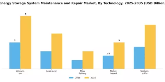Energy Storage System Maintenance and Repair Market Segment Image 4