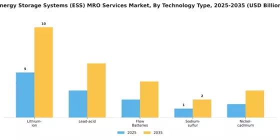 Energy Storage Systems (ESS) MRO Services Market Segment Image 3