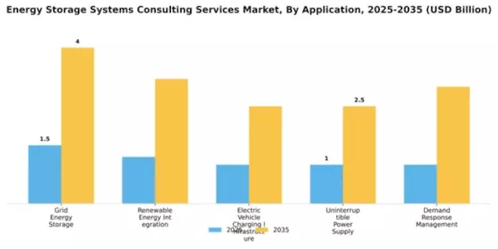 Energy Storage Systems Consulting Services Market Segment Image 0