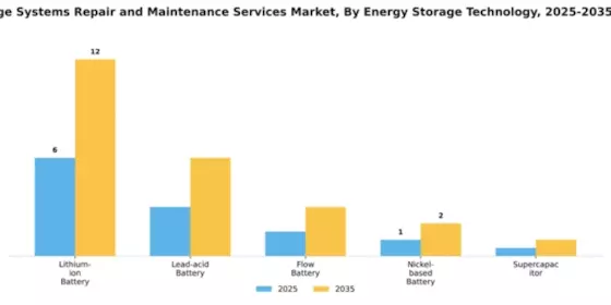 Energy Storage Systems Repair and Maintenance Services Market Segment Image 2