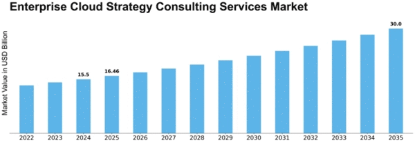 Enterprise Cloud Strategy Consulting Services Market Size