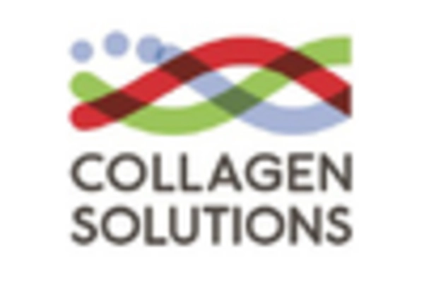 Bioceramics Market key player