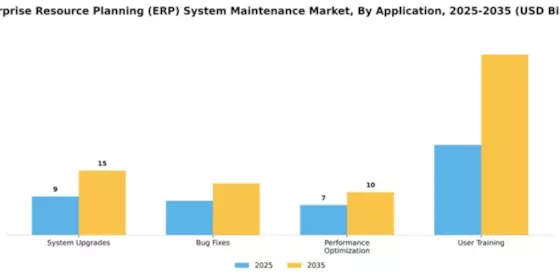 Enterprise Resource Planning (ERP) System Maintenance Market Segment Image 0