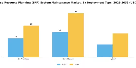 Enterprise Resource Planning (ERP) System Maintenance Market Segment Image 1