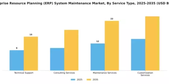 Enterprise Resource Planning (ERP) System Maintenance Market Segment Image 3