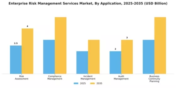 Enterprise Risk Management Services Market Segment Image 0