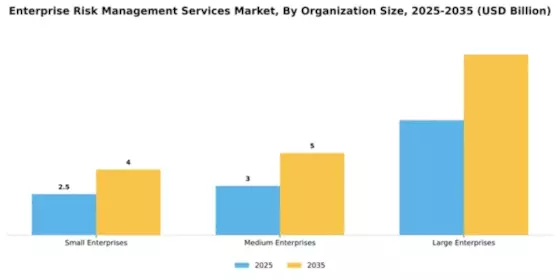Enterprise Risk Management Services Market Segment Image 3