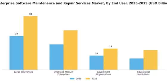 Enterprise Software Maintenance and Repair Services Market Segment Image 1