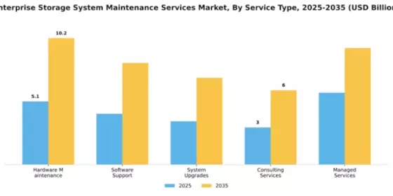 Enterprise Storage System Maintenance Services Market Segment Image 4