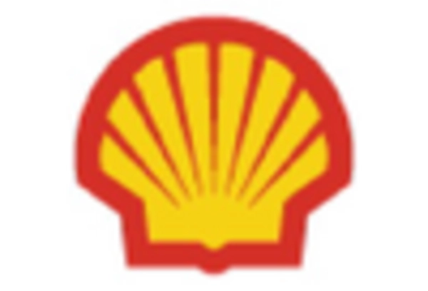 EV Charging Infrastructure Services Market key player